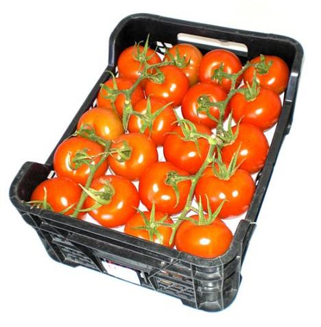 Caja Tomate en Rama